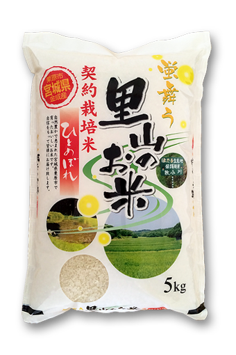 蛍舞う里山のひとめぼれ